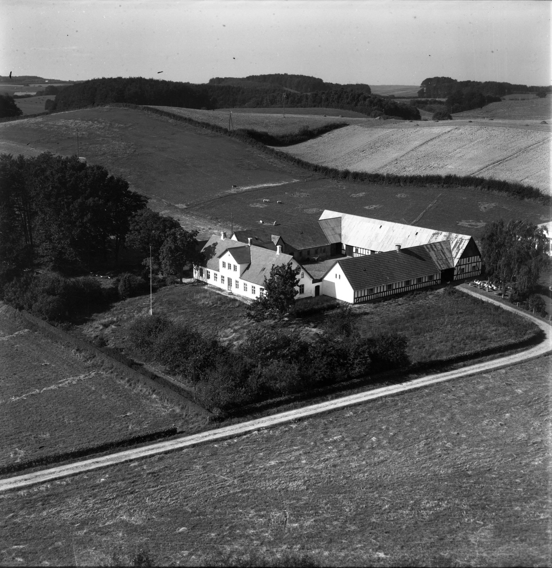 Skovsgaard 1953