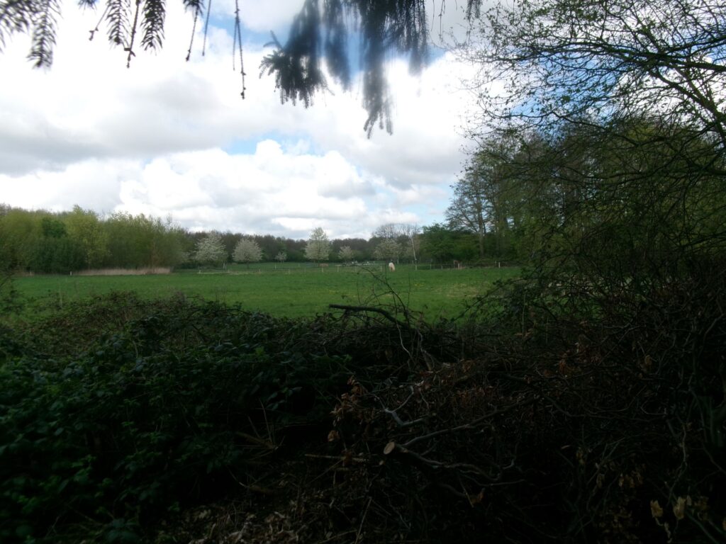 Sognegården bagerst